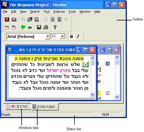 Bar Ilan Software on Flash Drive